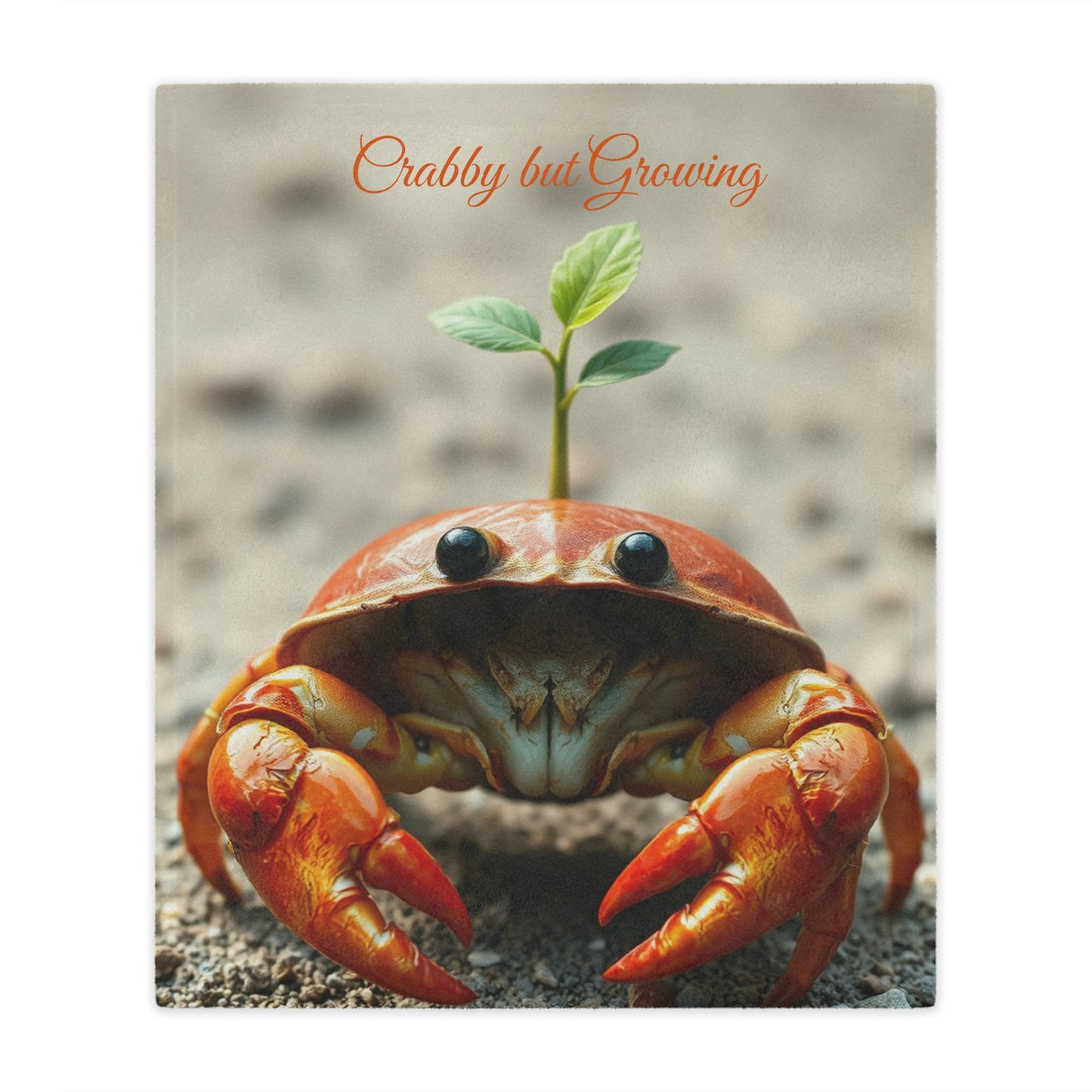 Front view of Soft Minky Blanket – Crab Design, 50x60 inches — soft plush nautical blanket, cute ocean décor, cozy throw by The Inner Horizon Collective