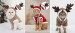 Festive Holiday Pet Outfit for Dogs & Cats