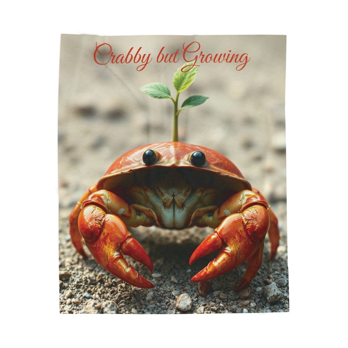 Soft Velveteen Crab Plush Blanket — “Crabby But Growing” Throw for Kids, Ocean Lovers & Whimsical Coastal Décor