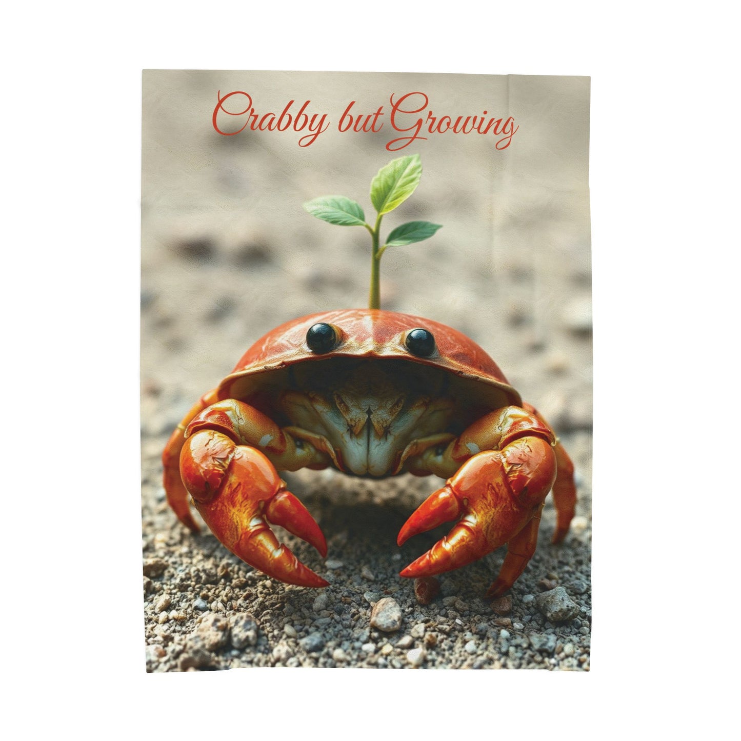Soft Velveteen Crab Plush Blanket — “Crabby But Growing” Throw for Kids, Ocean Lovers & Whimsical Coastal Décor