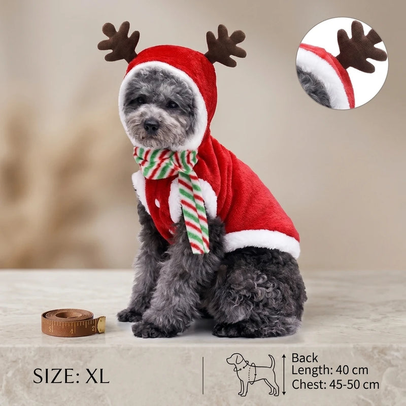 Festive Holiday Pet Outfit for Dogs & Cats