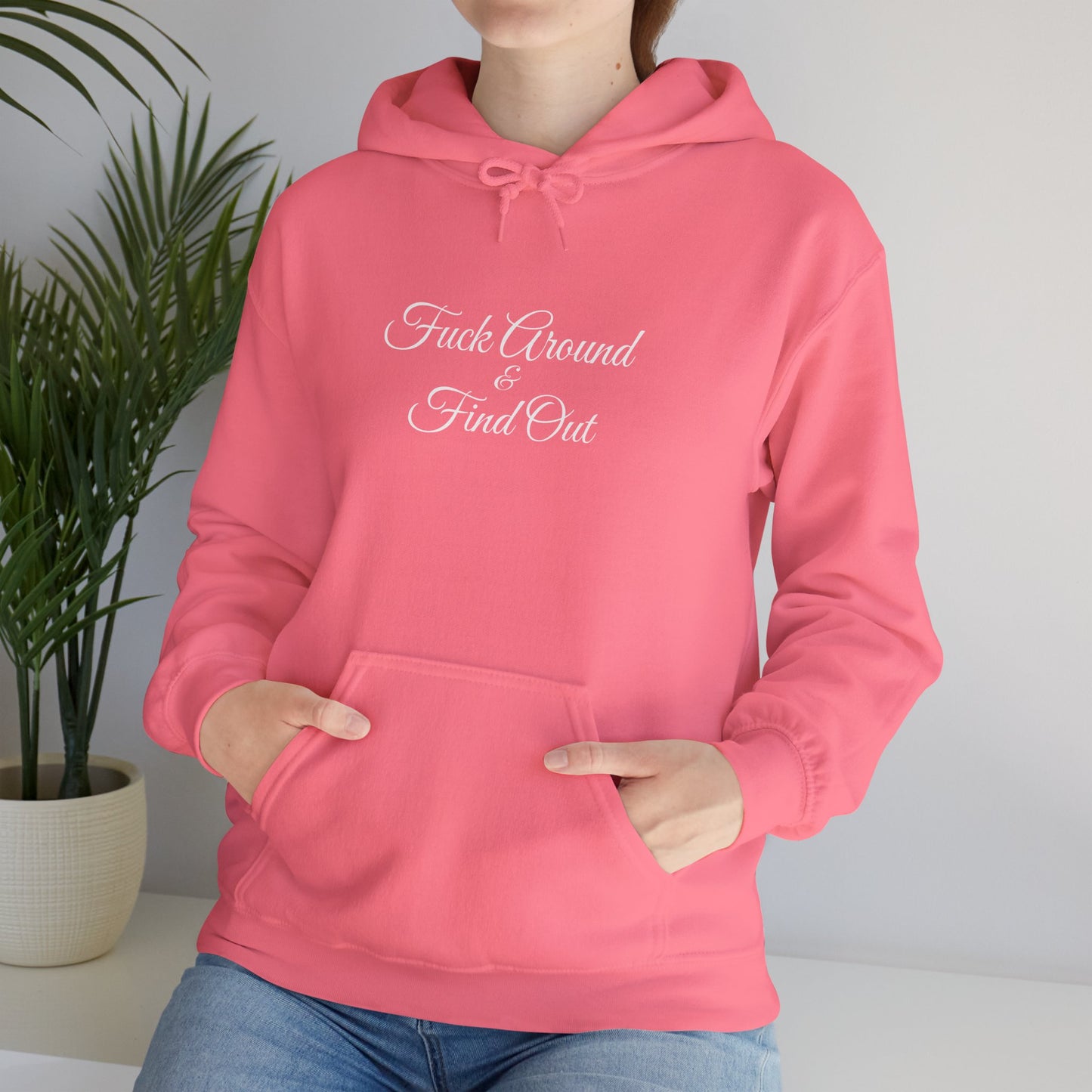 F**k Around & Find Out Hoodie – Edgy Casual Sweatshirt Gift