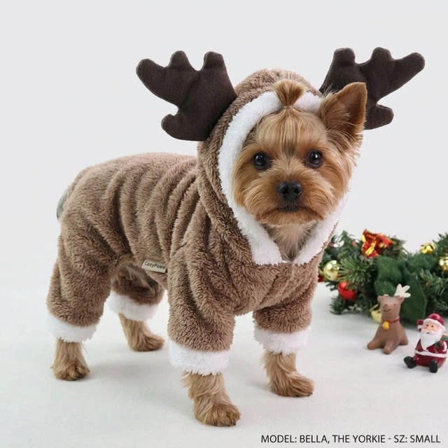 Festive Holiday Pet Outfit for Dogs & Cats